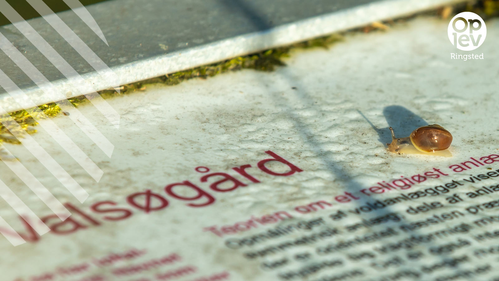 Ridebanen og Valsøgård