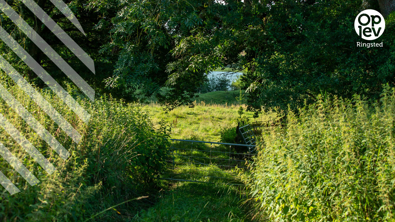 Ridebanen og Valsøgård