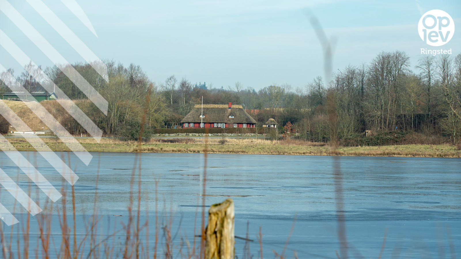 Skjoldenæsholmskovene