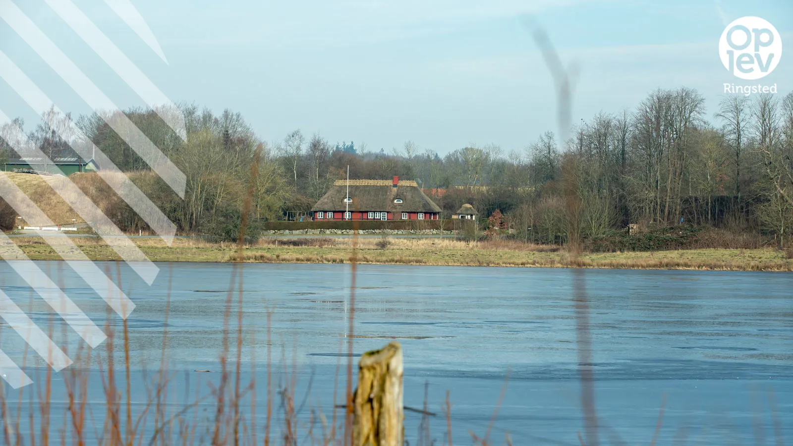 Skjoldenæsholmskovene