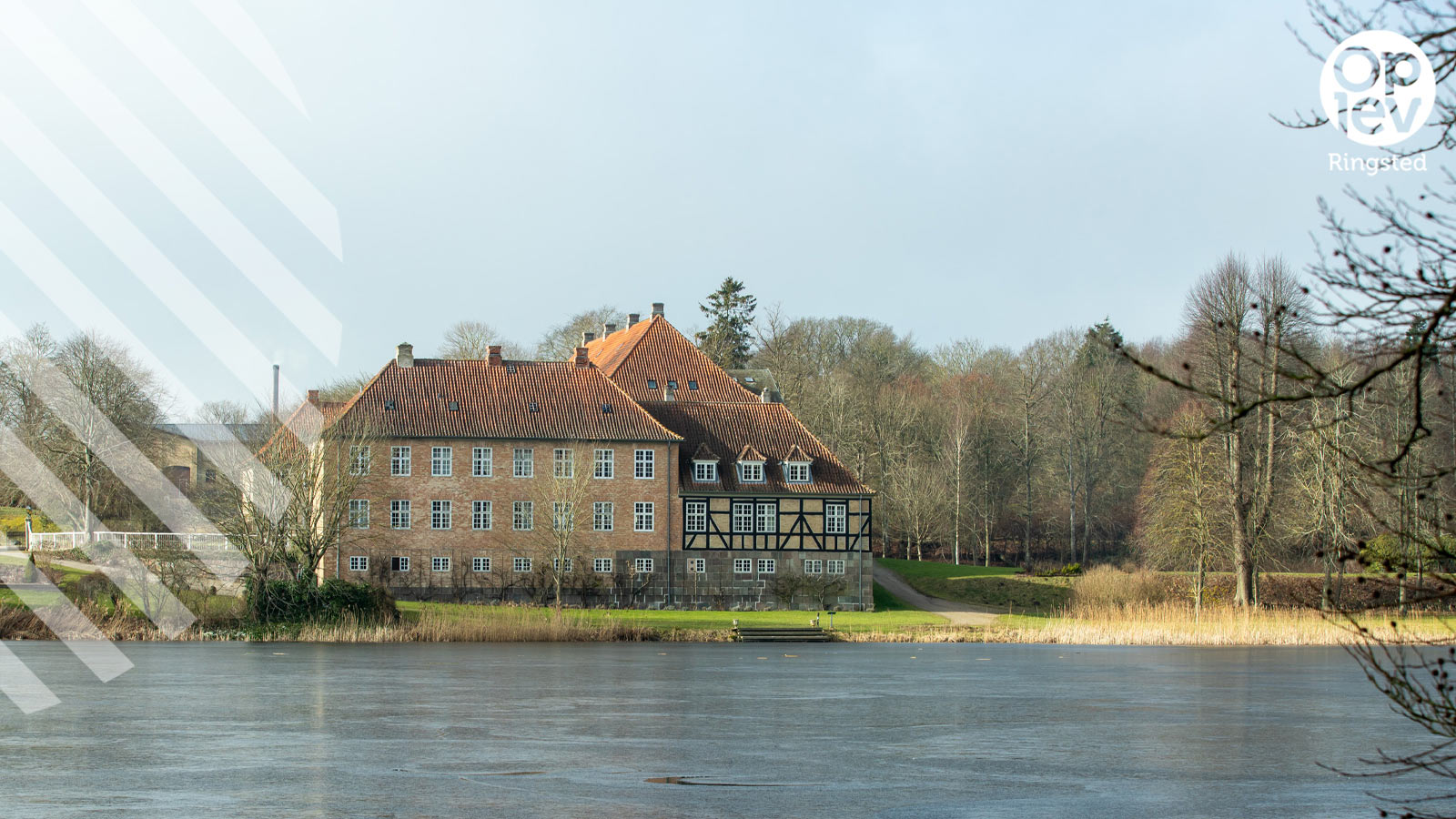 Skjoldenæsholmskovene