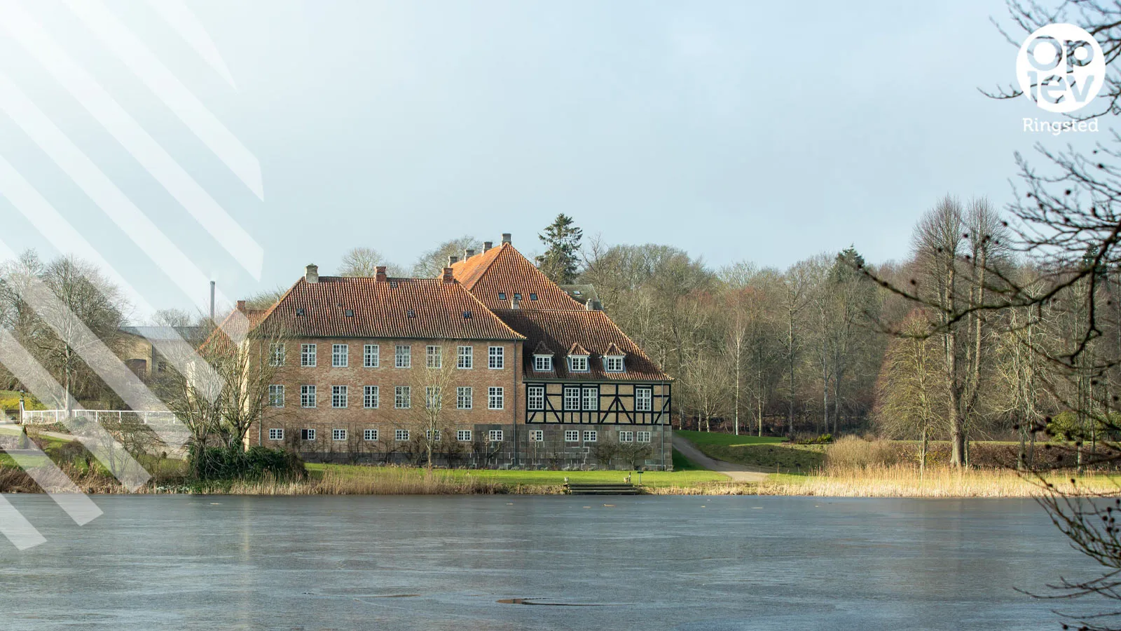 Skjoldenæsholmskovene