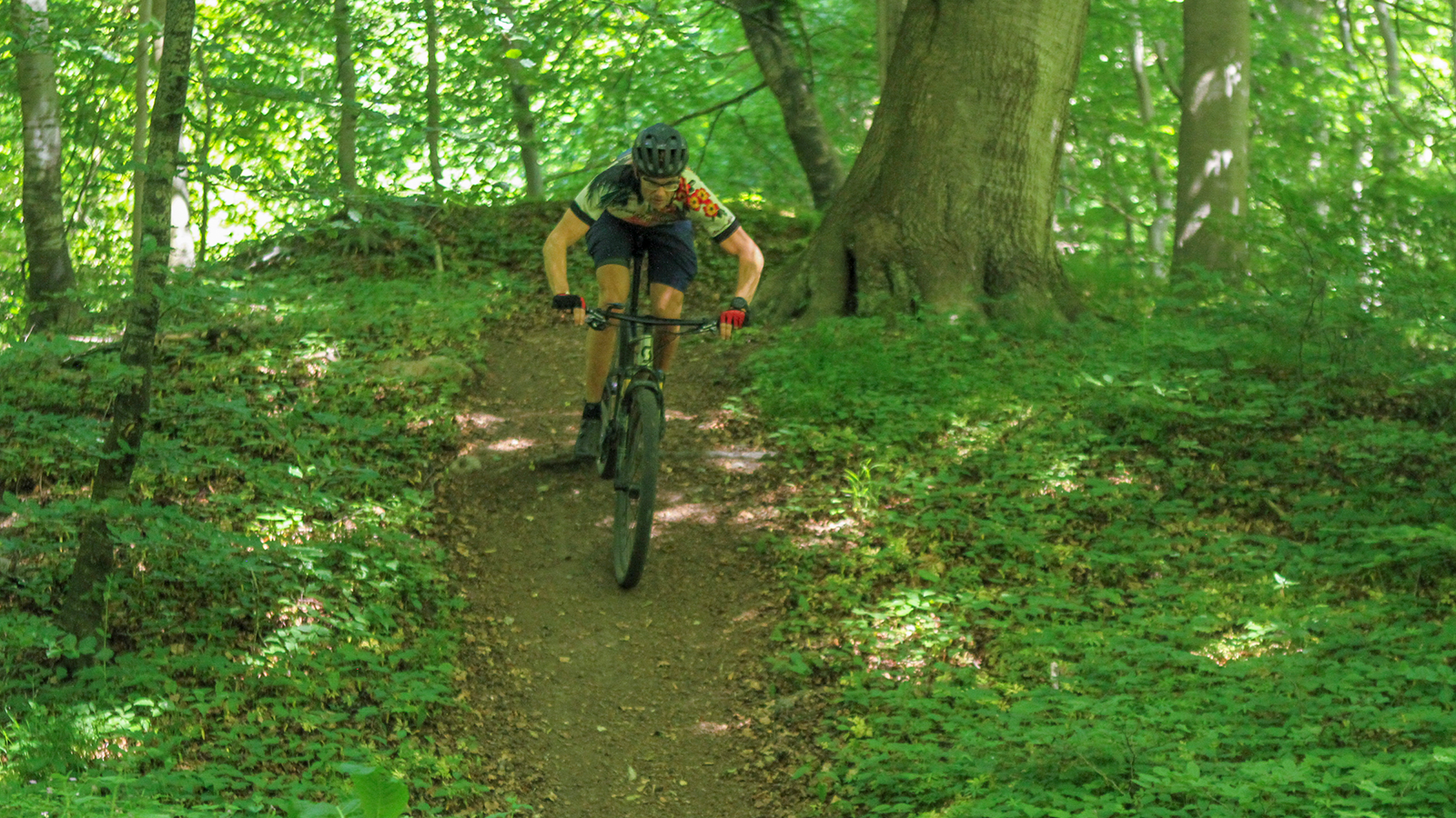 Mountainbike Vrangeskov