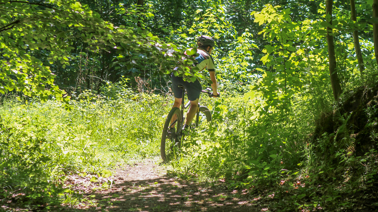 Mountainbike Vrangeskov