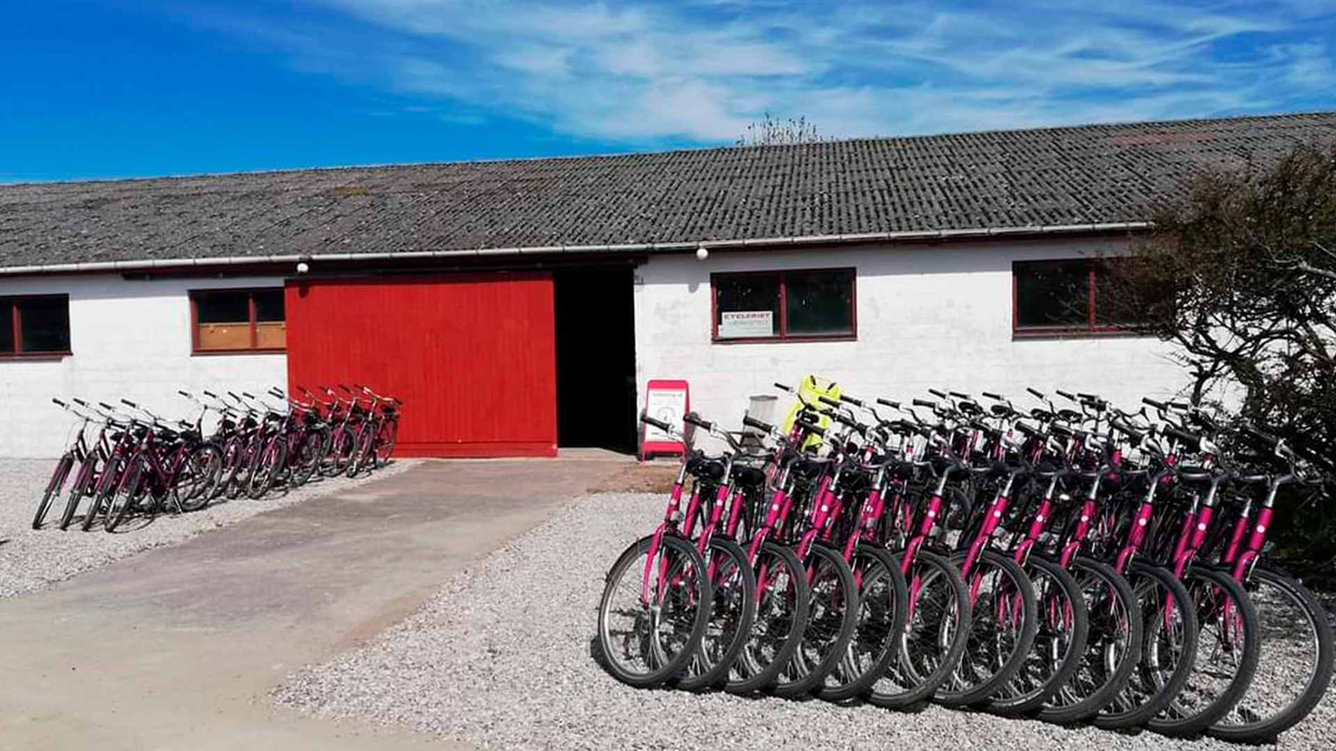 Bange for at dø Bugsering angreb Samsø Cykeludlejning