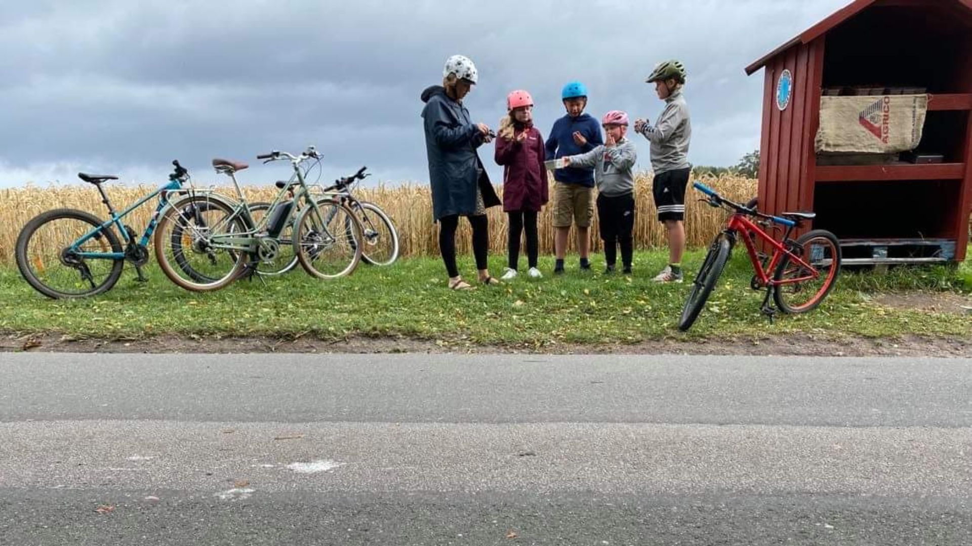 Familien Dolleris & Mikkelsen på cykelferie på Samsø. Pitstop ved jordbærbod.