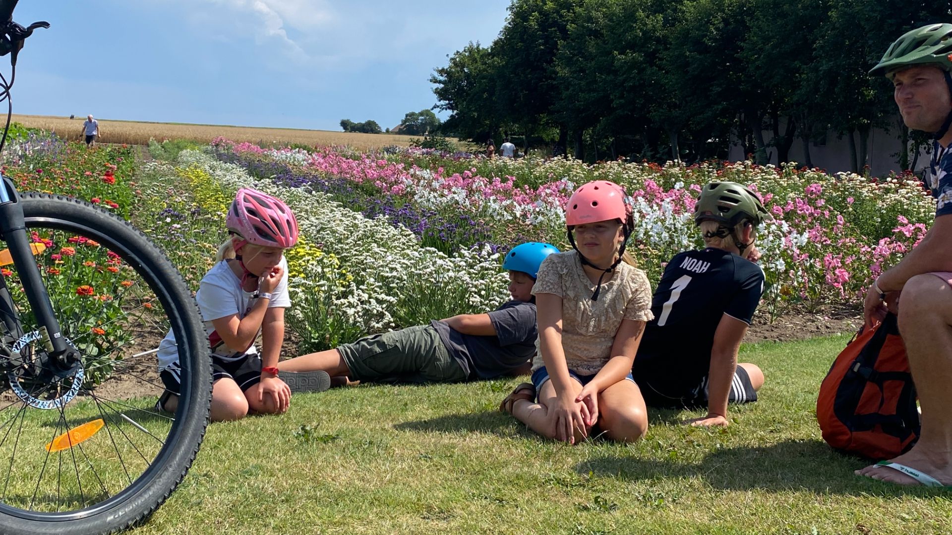 Sanselige, skønne Samsø