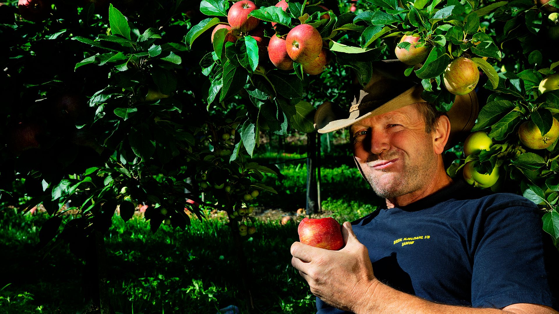 Samsøer Obst ist der Kern der Sache