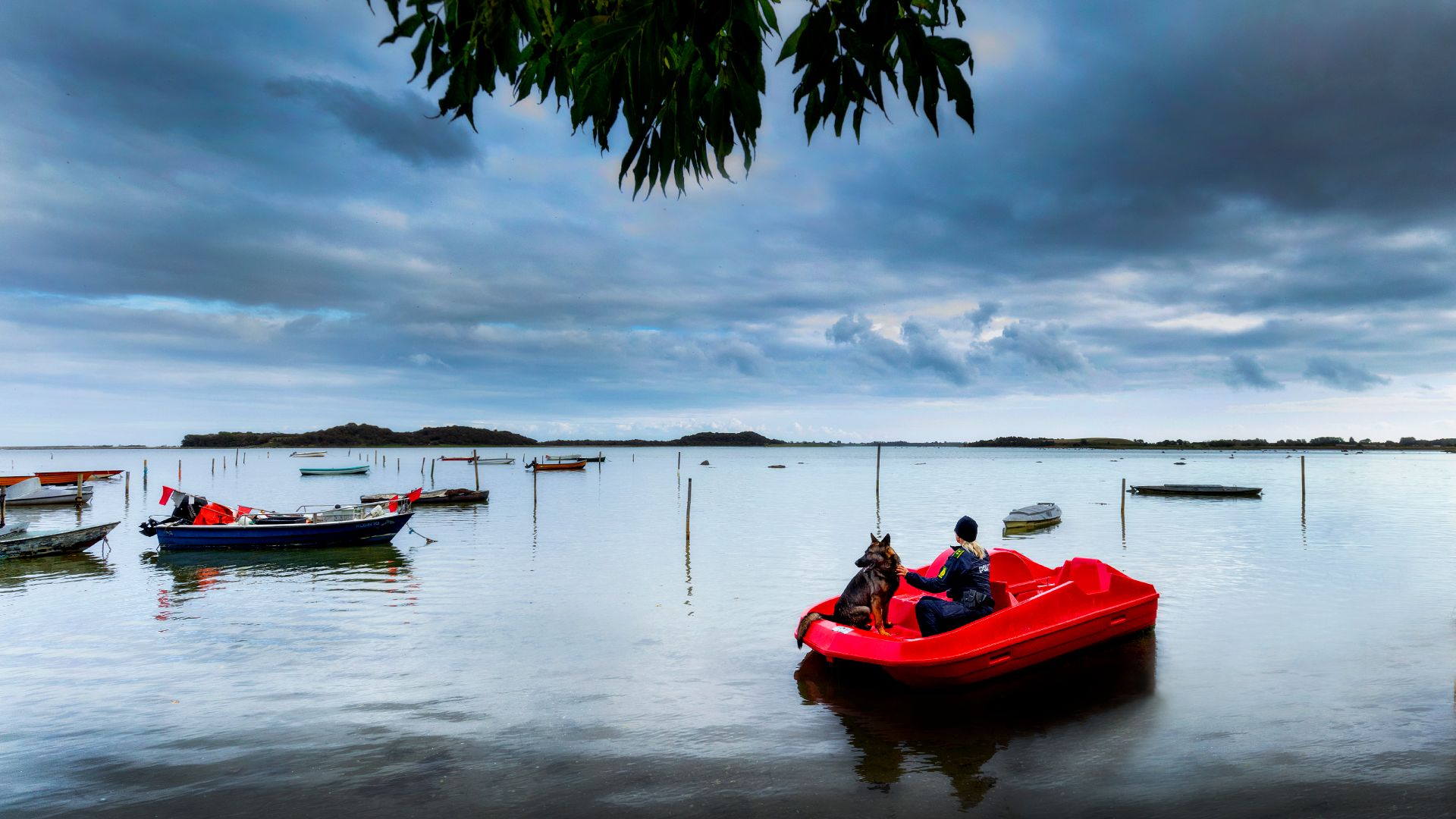 Puk passt auf Samsø auf