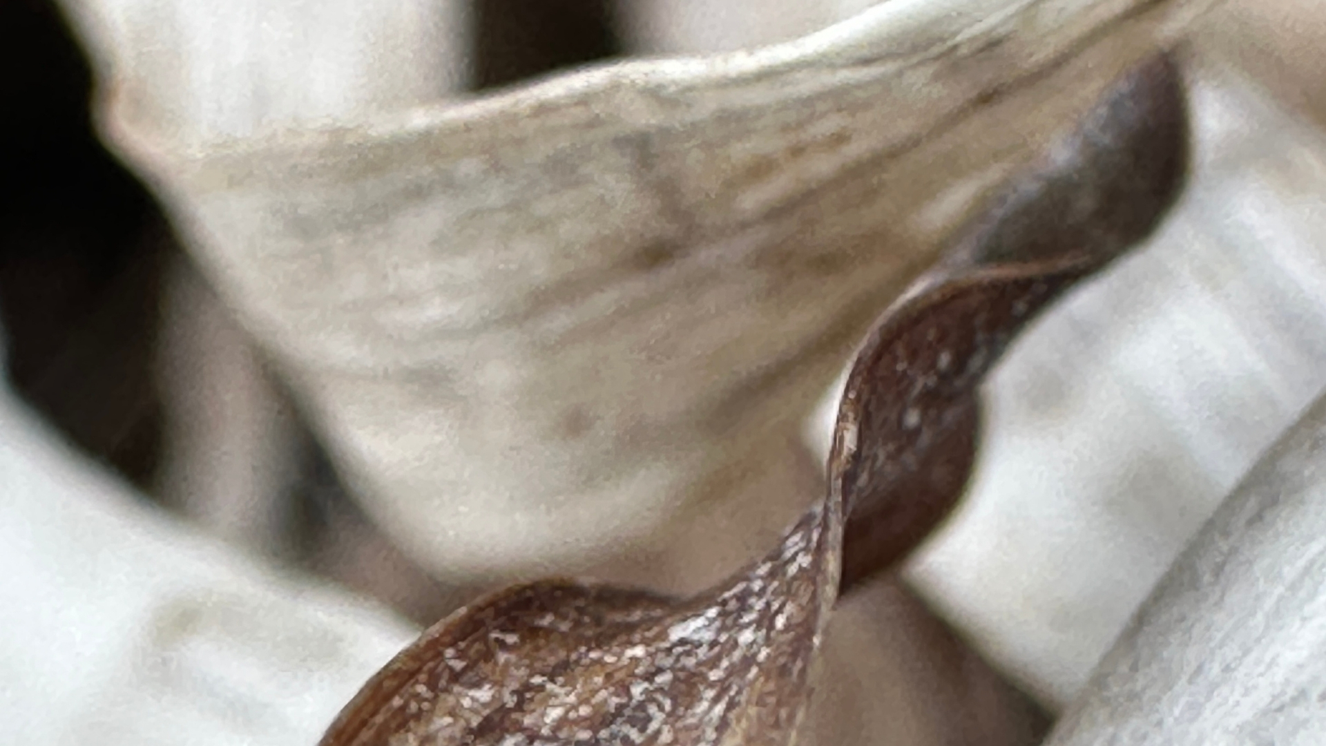 Galleri-unika-fotokunst