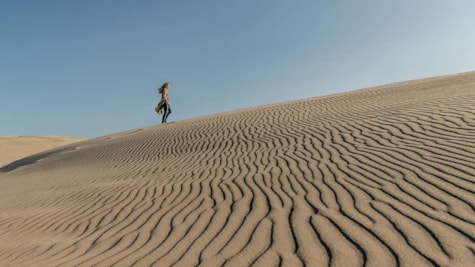 Råbjerg Mile i Nordjylland