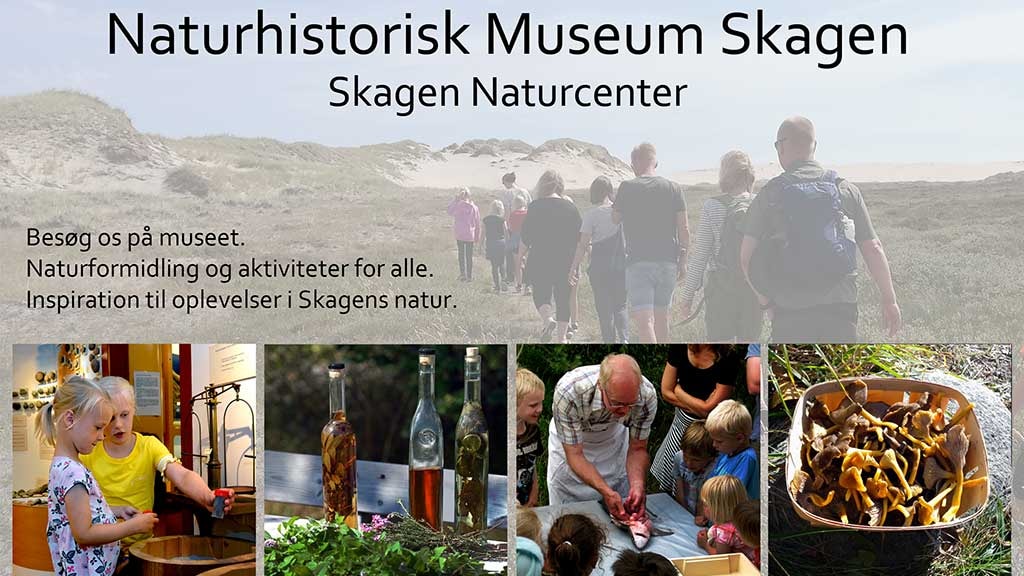 Naturhistorisk Museum Skagen