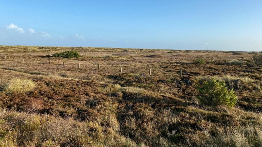 Hiking: Grenensporet- Hiking experiences you'll never forget