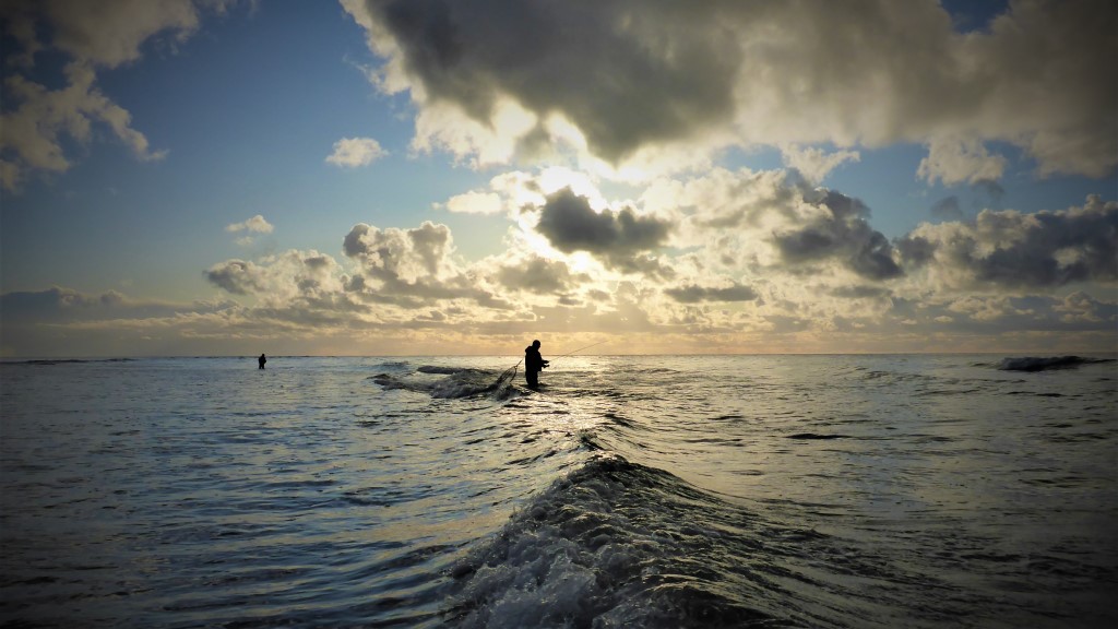 Hedebo Strand Camping