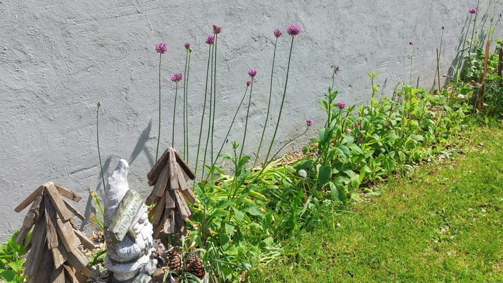 Kragkaer Deer-Lodge B&B 