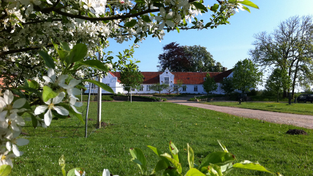The hiking trails Kløverstierne in Lem