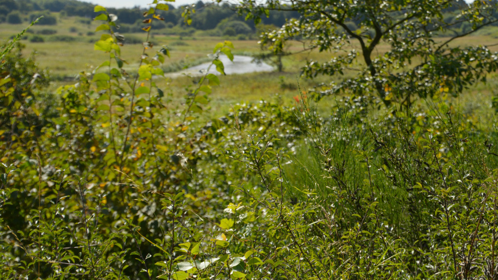 Salling Nature Trail - 29,4 km