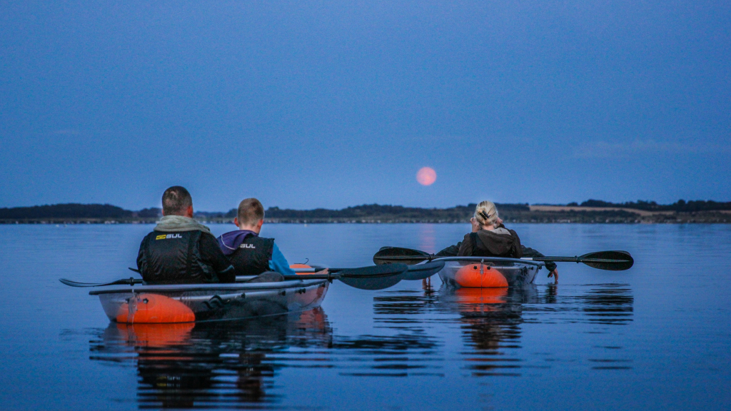 Tours in glass kayaks on the Limfjord