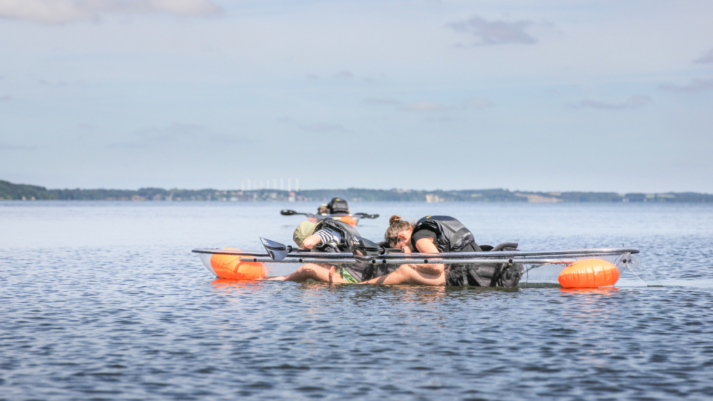 Tours in glass kayaks on the Limfjord