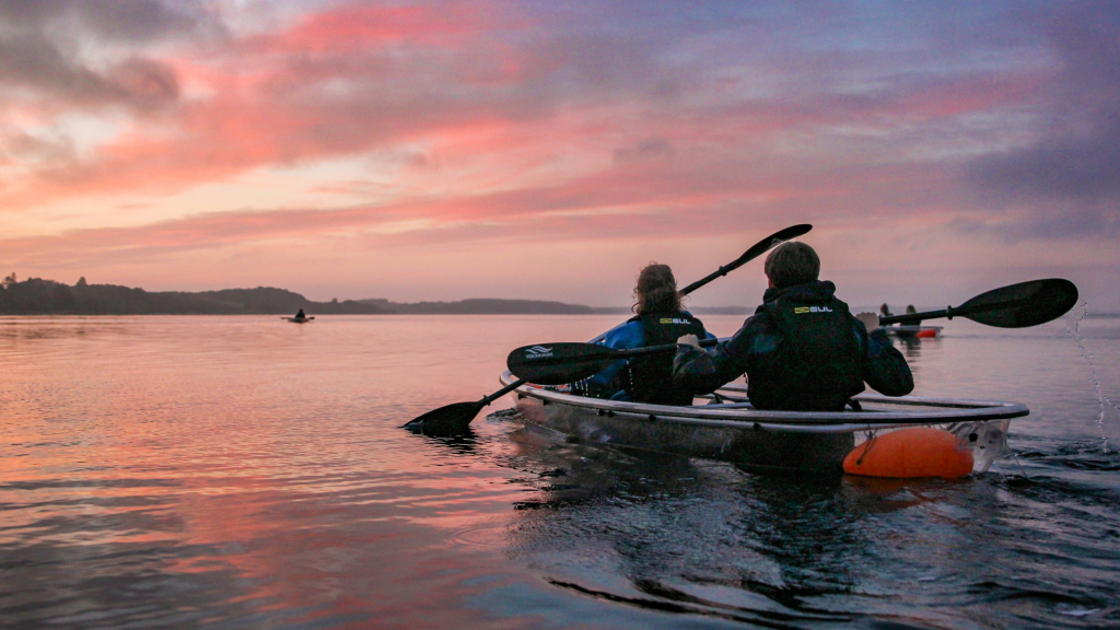 Tours in glass kayaks on the Limfjord