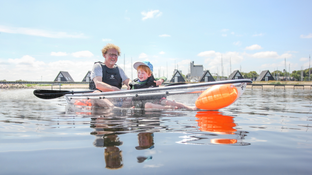Tours in glass kayaks on the Limfjord