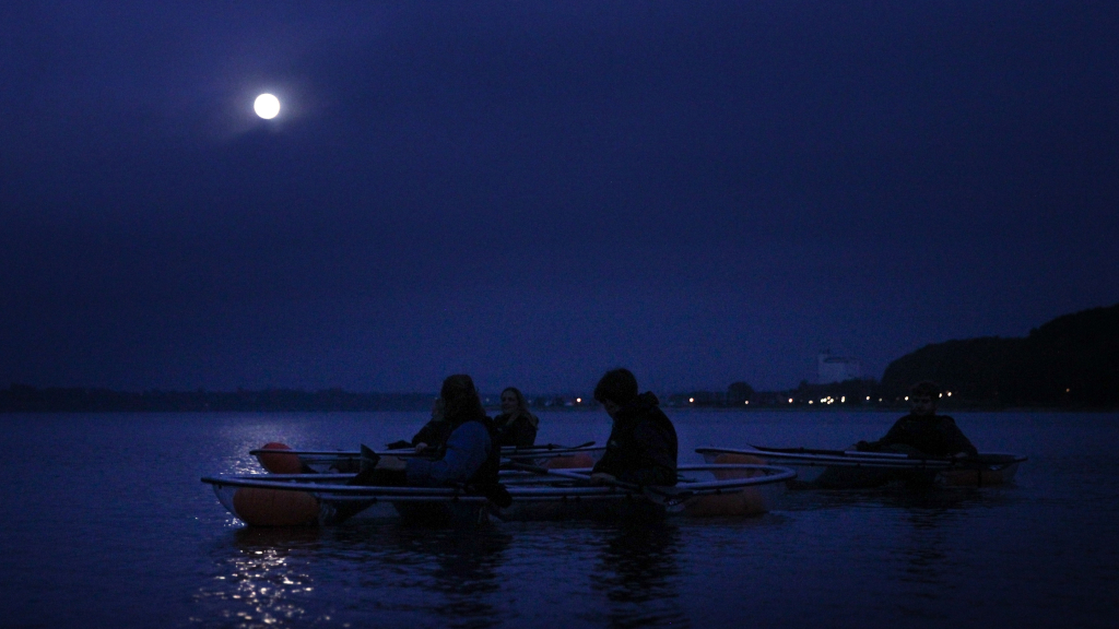 Tours in glass kayaks on the Limfjord