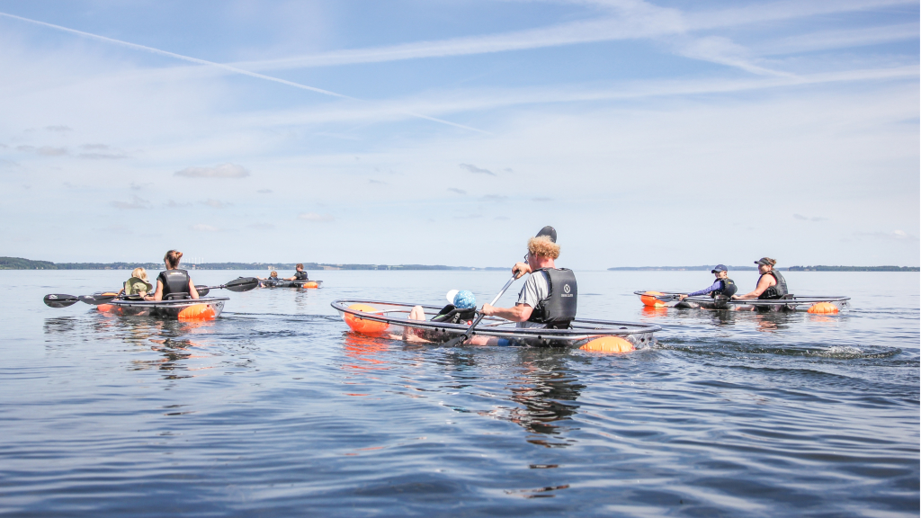 Tours in glass kayaks on the Limfjord
