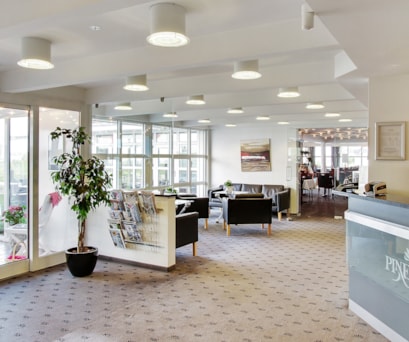 Hotel Pinenhus - Forretning