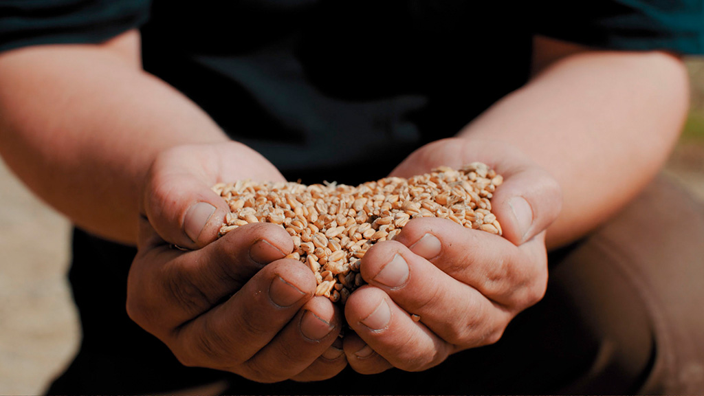 Staunstrup Distillery