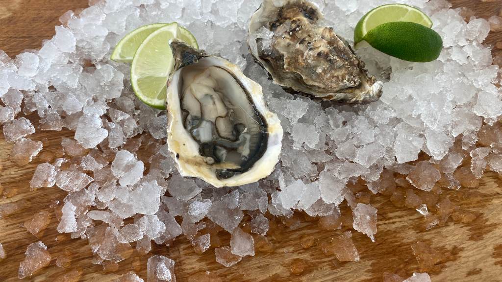 Shellfish Festival at Mors - first weekend in June