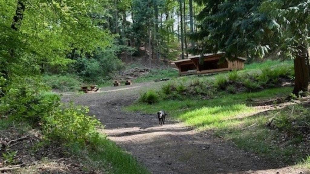 Shelter, Legind Bjerge