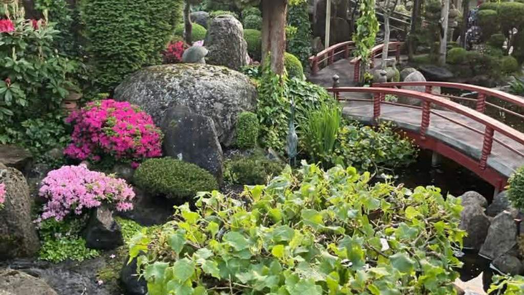 Japanske Have Struer