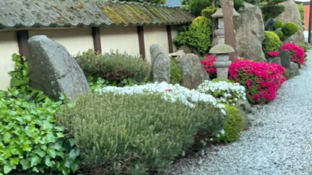 Japanske Have Struer