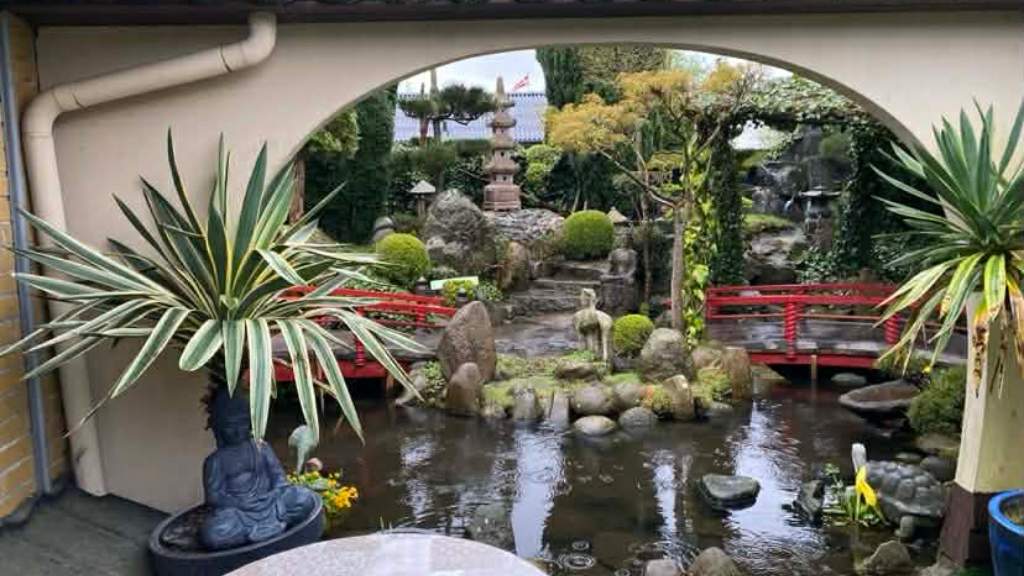 Japanske Have Struer