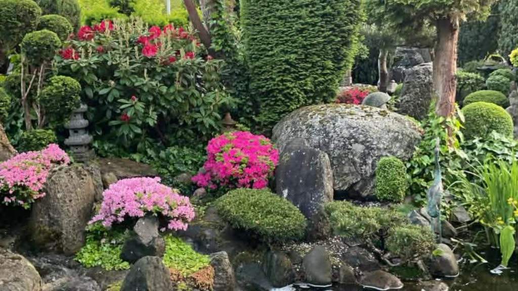 Japanske Have Struer