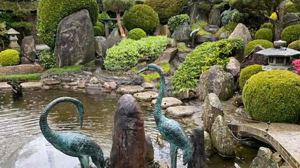 Japanske Have Struer