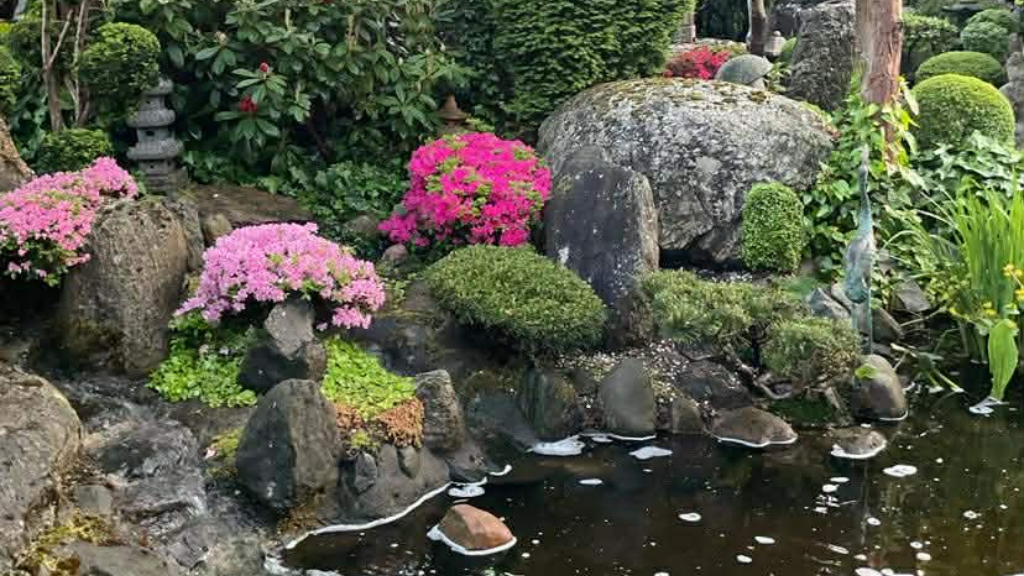 Den Japanske Have i Struer