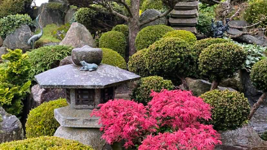 Den Japanske Have i Struer