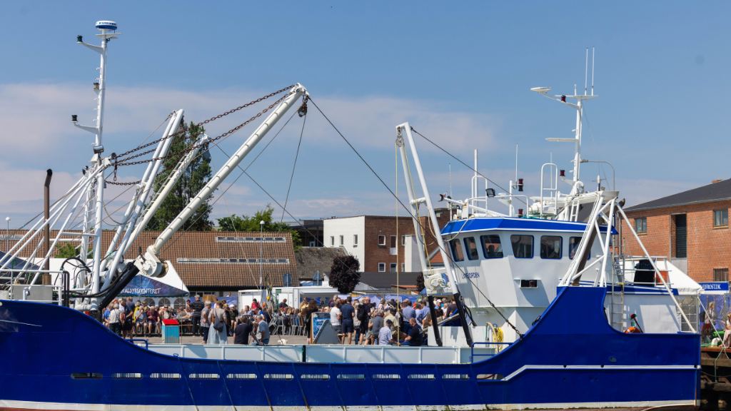 Yearly Shellfish Festival at the island Mors