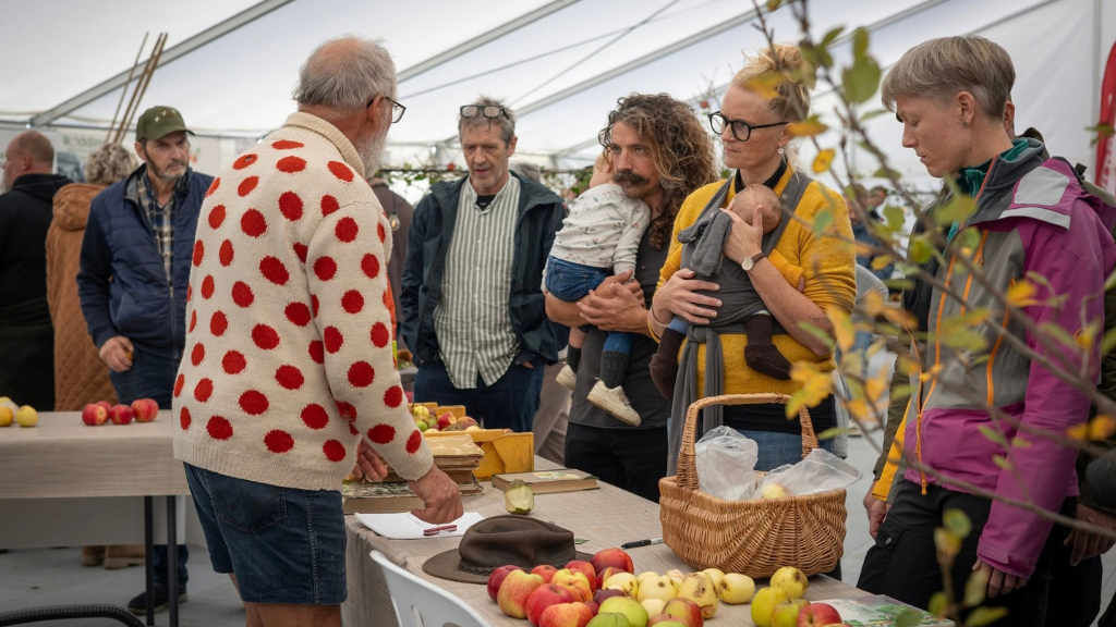Æblefestival