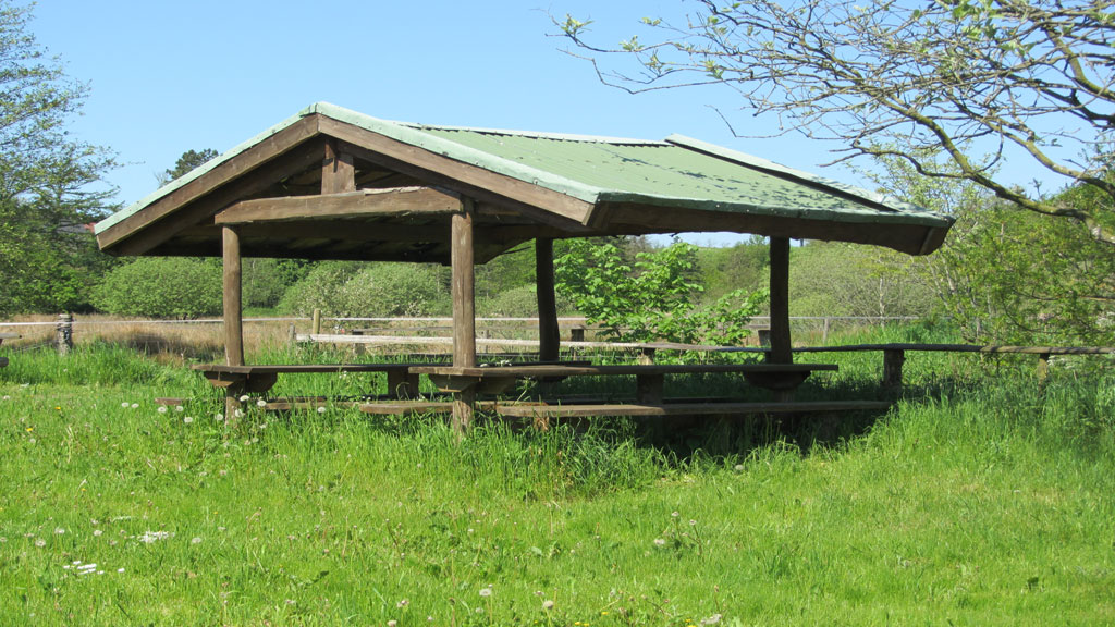 Bustrup Shelterplads Skive (Camp Ground)