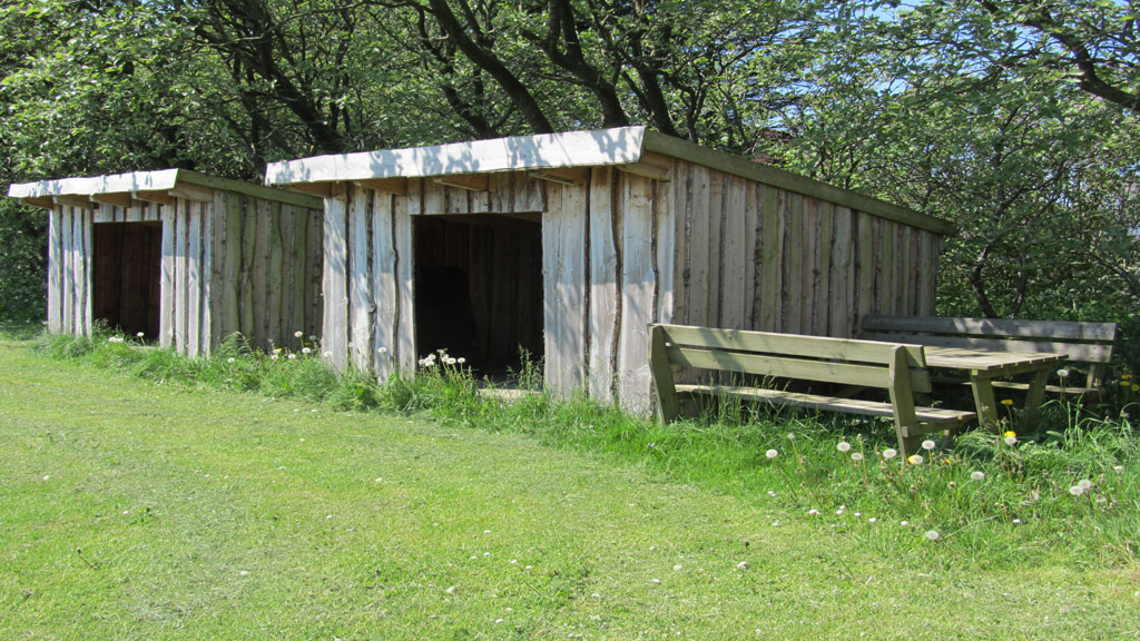 Håsum Shelter Site Skive
