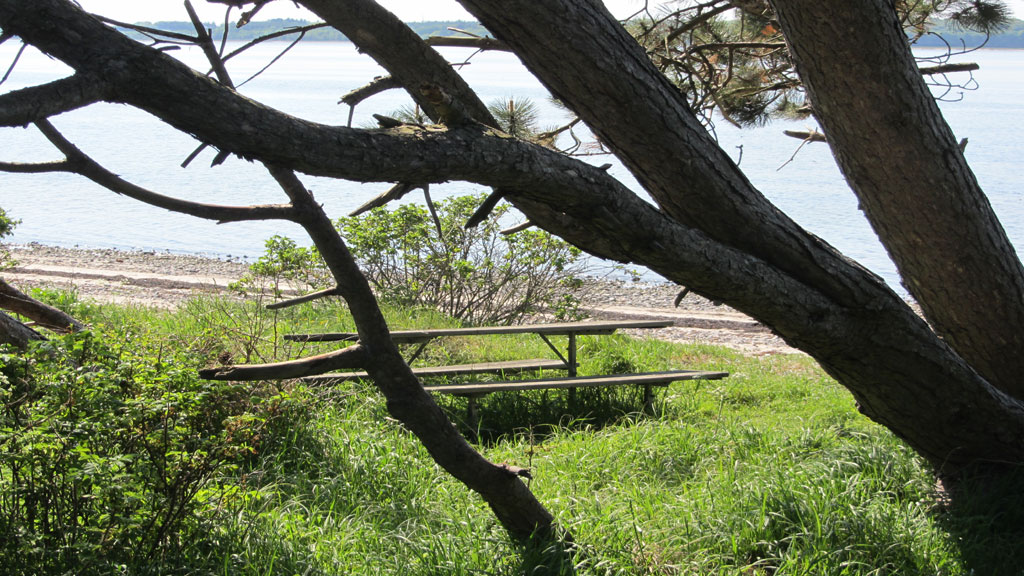 Kybehuse Camp ground Skive