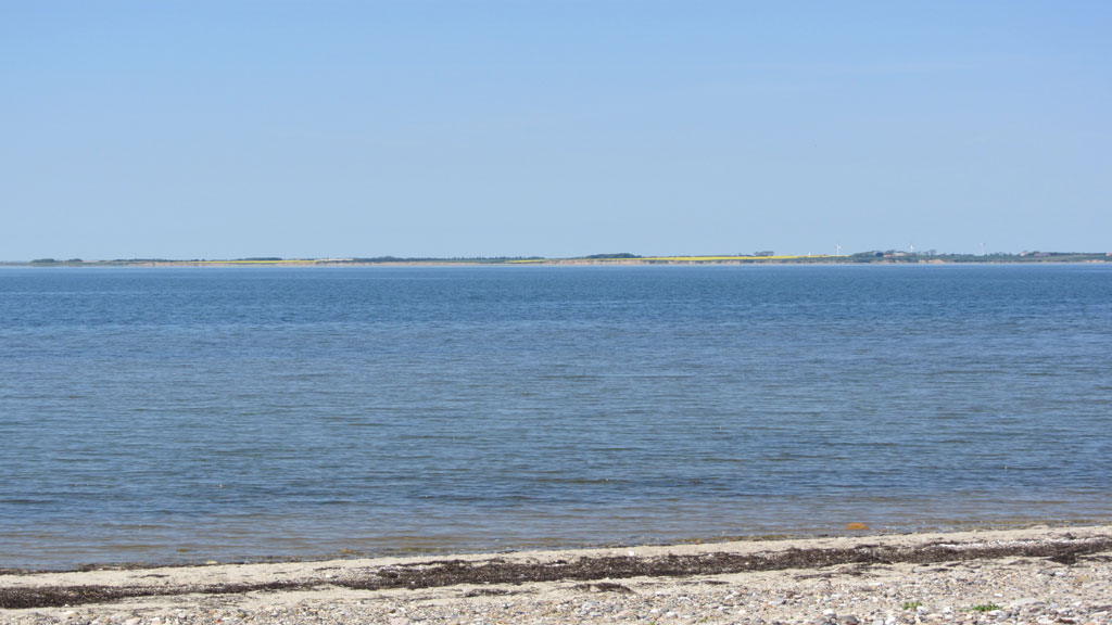 Vadum Shelterplatz Skive - Naturlagerplatz