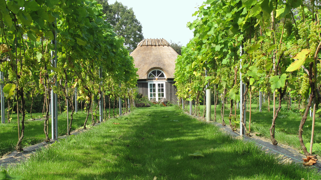 Cykeltur: Svendborg til Æbleskivestenen