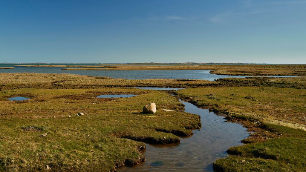 Der Wanderweg des Inselmeeres: Svendborg - Troense - Rudkøbing