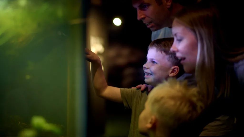 Museum Svendborg Natural History Museum