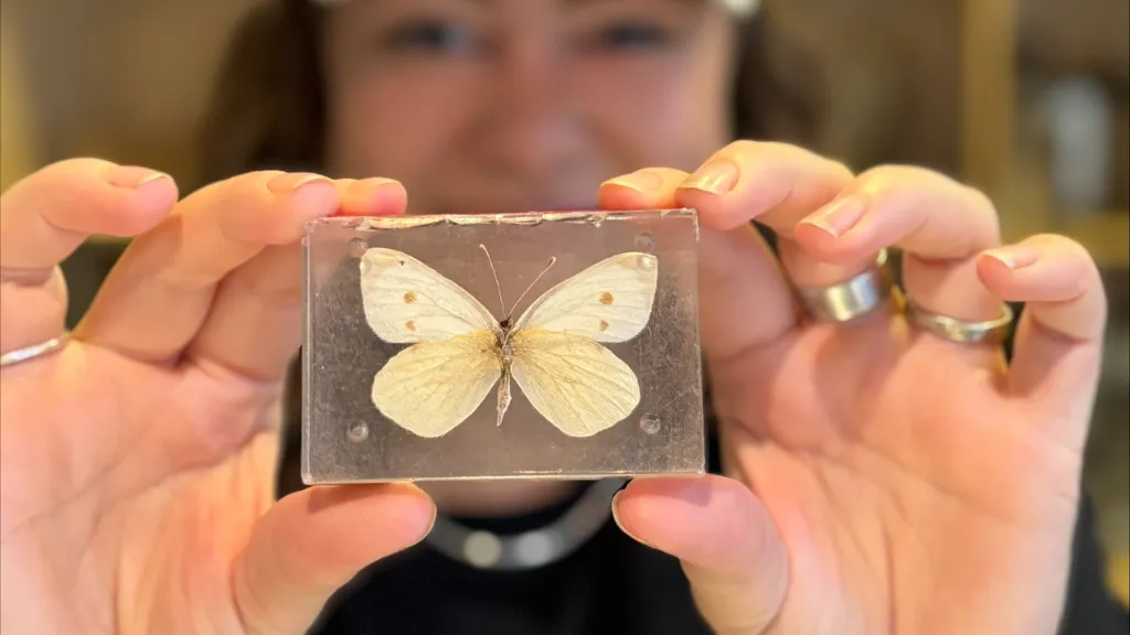 Museum Svendborg Natural History Museum