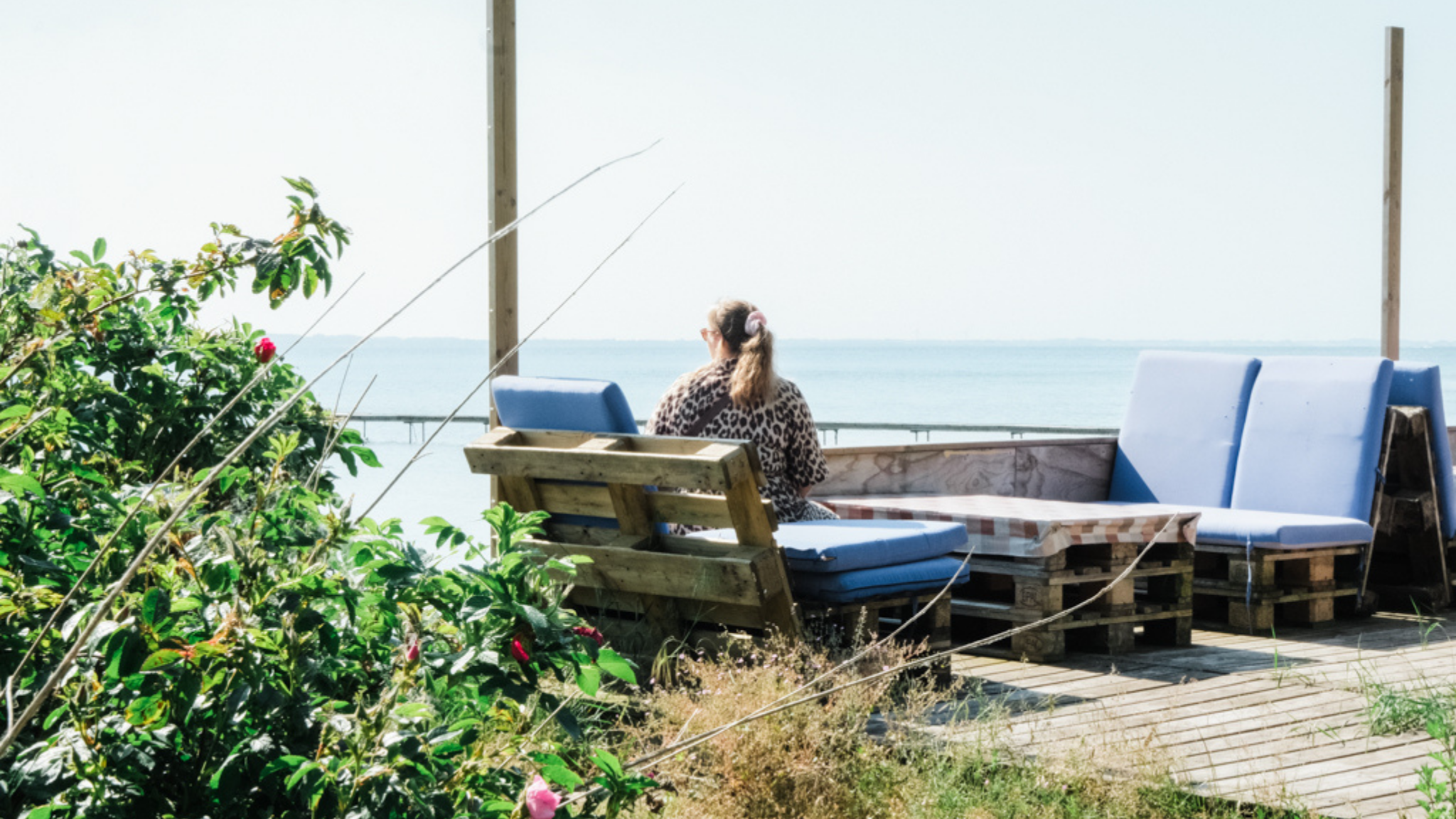 Bøsøre strand camping