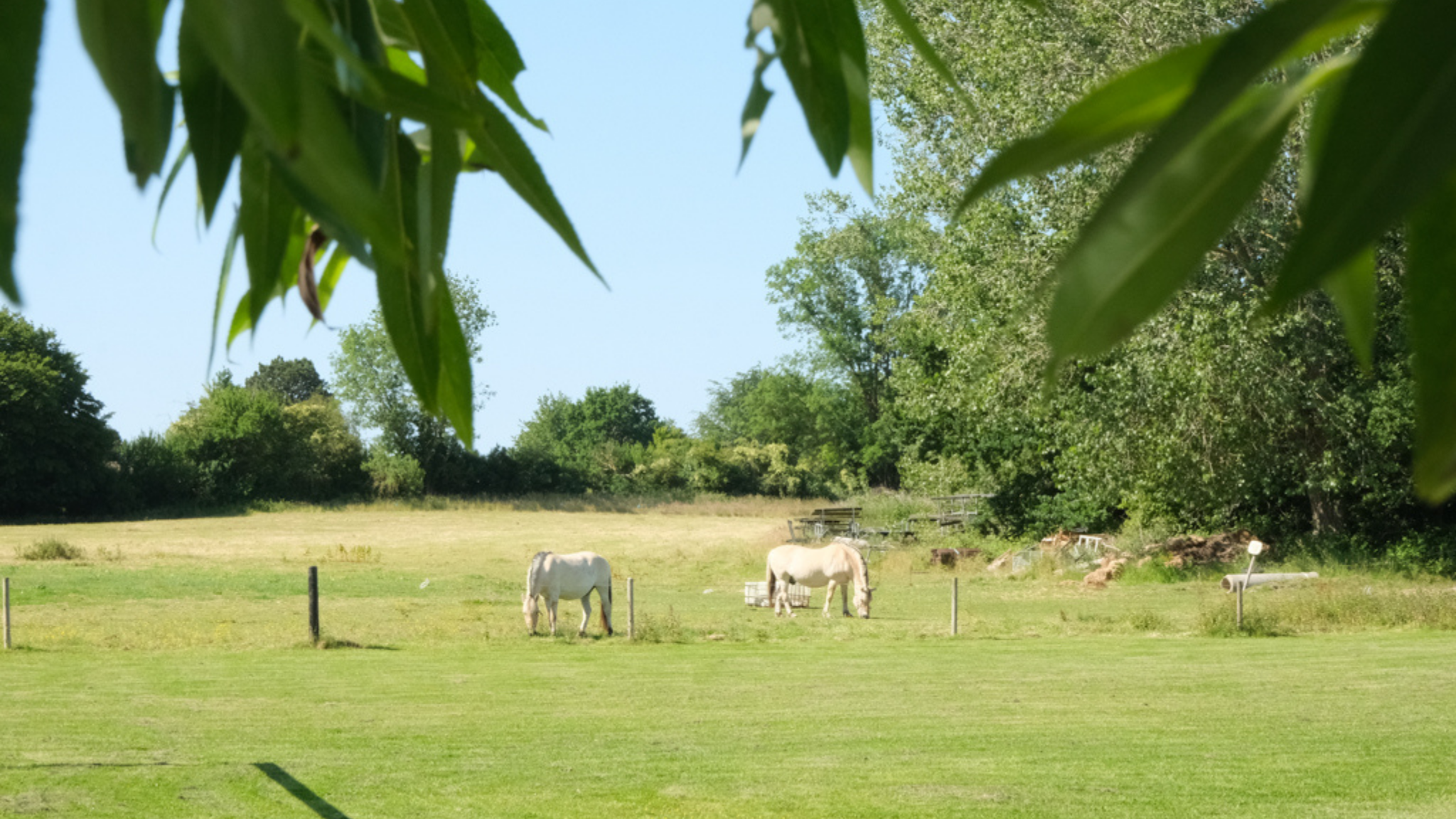 Bøsøre strand camping